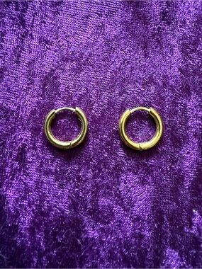 Gold Tone Mini Hoop Earrings - Pair